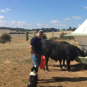 Dean Fredricksen, Dalwhinnie Angus 